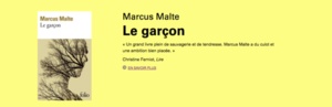 vignette malte le garçon